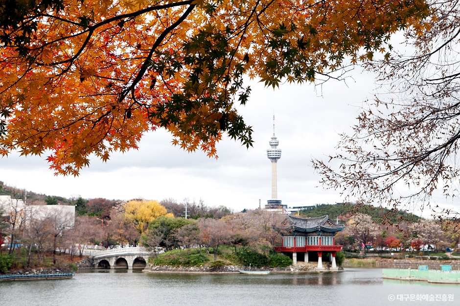 대구 성못