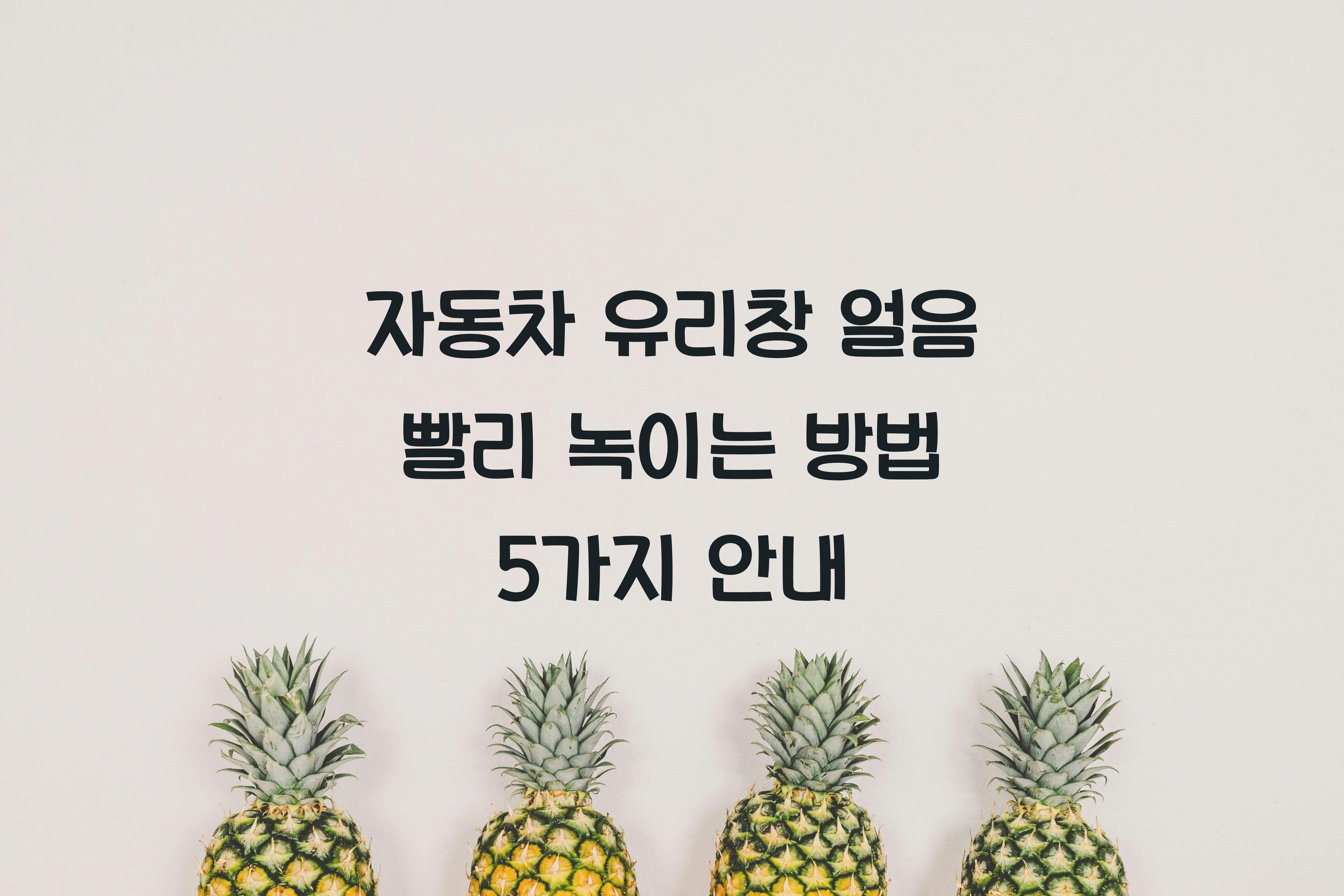 자동차 유리창 얼음 빨리 녹이는 방법