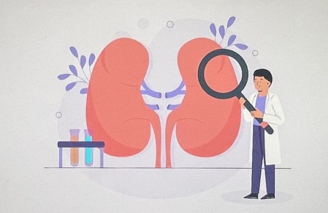 크레아티닌 수치가 높으면