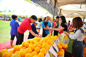 제 18회 여주금사참외축제 기본일정과 프로그램 정리 우연이 지원이 요요미 한강