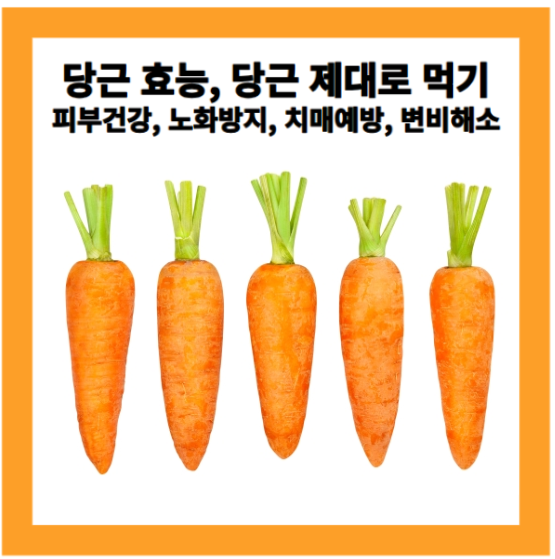 당근당근