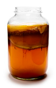 콤부차 효능2