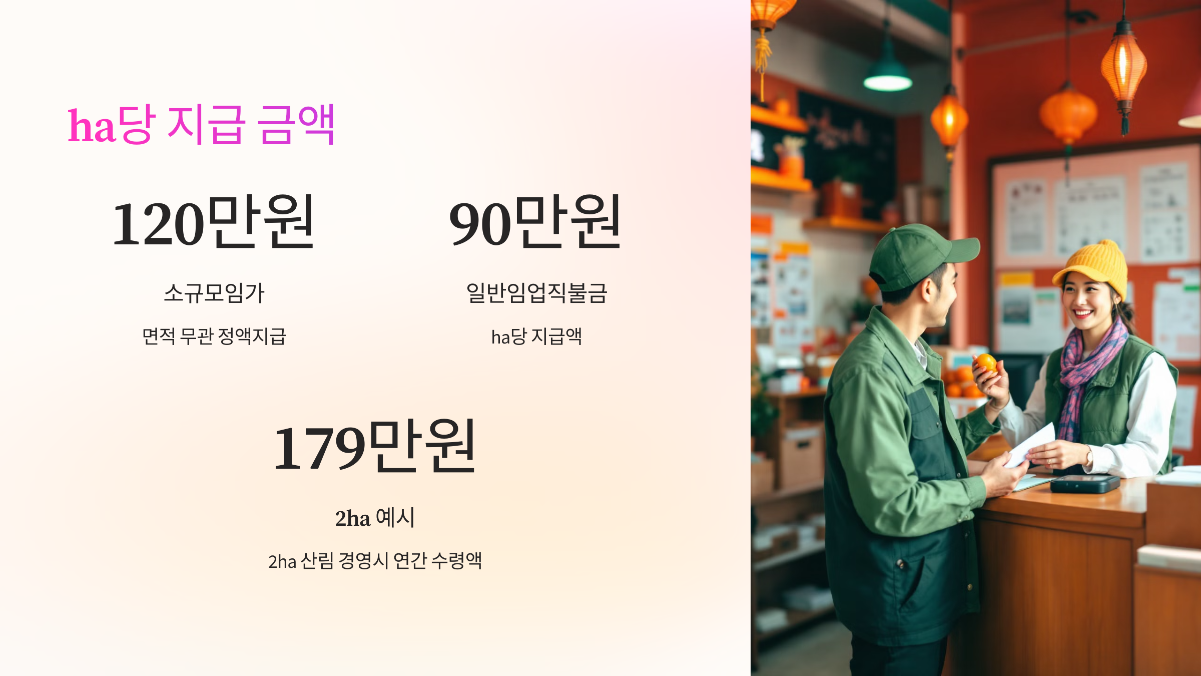 💰 ha당 지급 금액