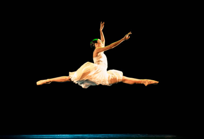 국립발레단 연봉