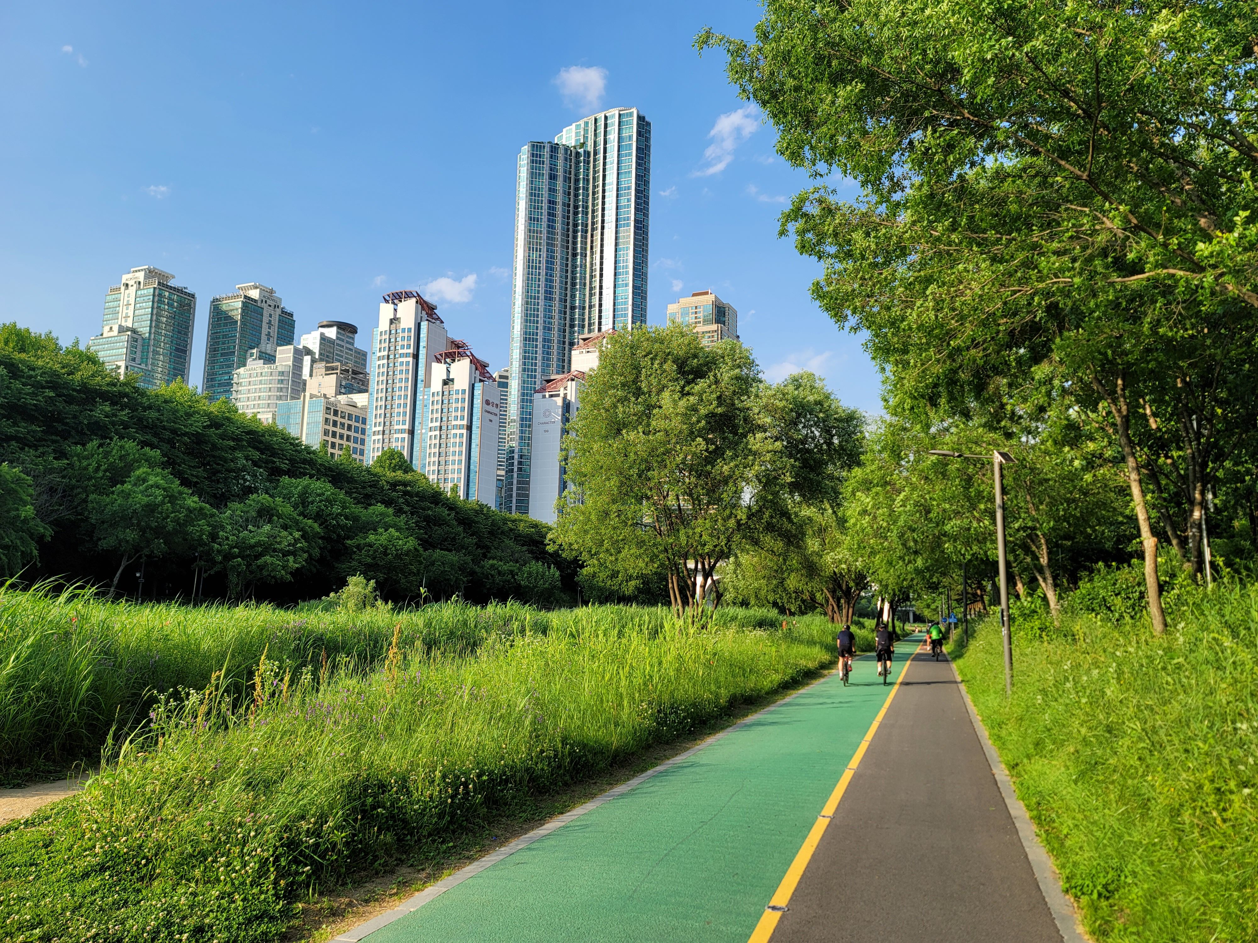 양재천 자전거여행