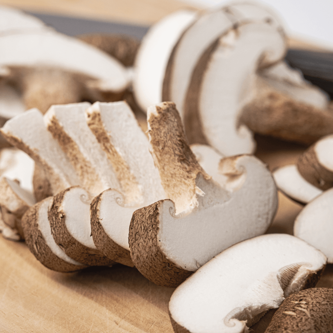 표고버섯 효능 부작용