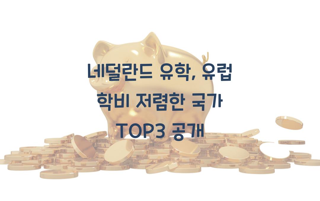 네덜란드 유학, 유럽에서 학비 저렴한 국가 TOP3에 포함!