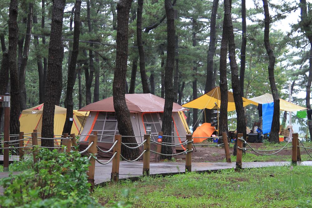 솔향기캠핑장

주소 강원 강릉시 연곡면 해안로 1282-10