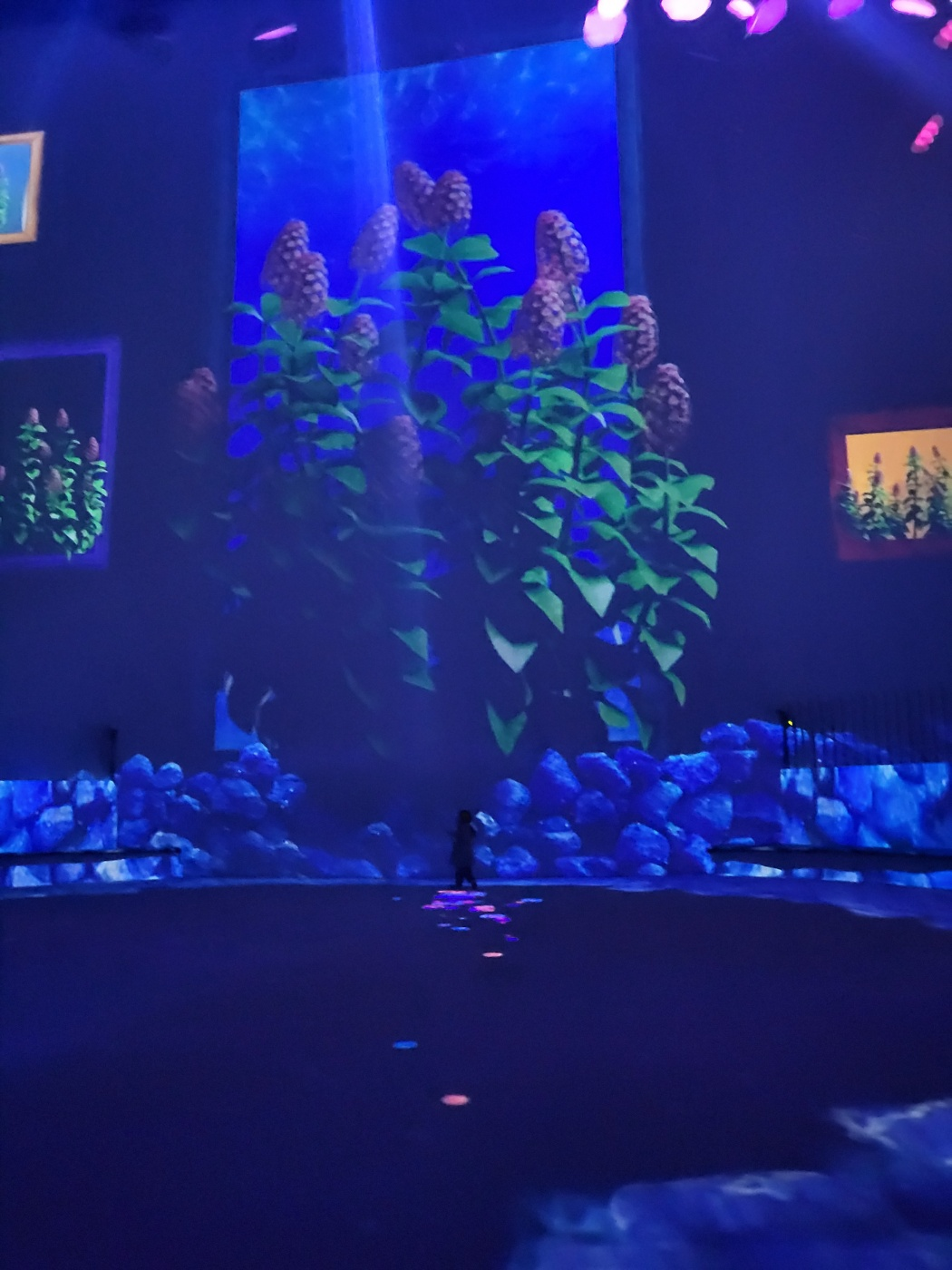 제주도 아이와 가볼만한곳 ( 노형슈퍼마켙 )