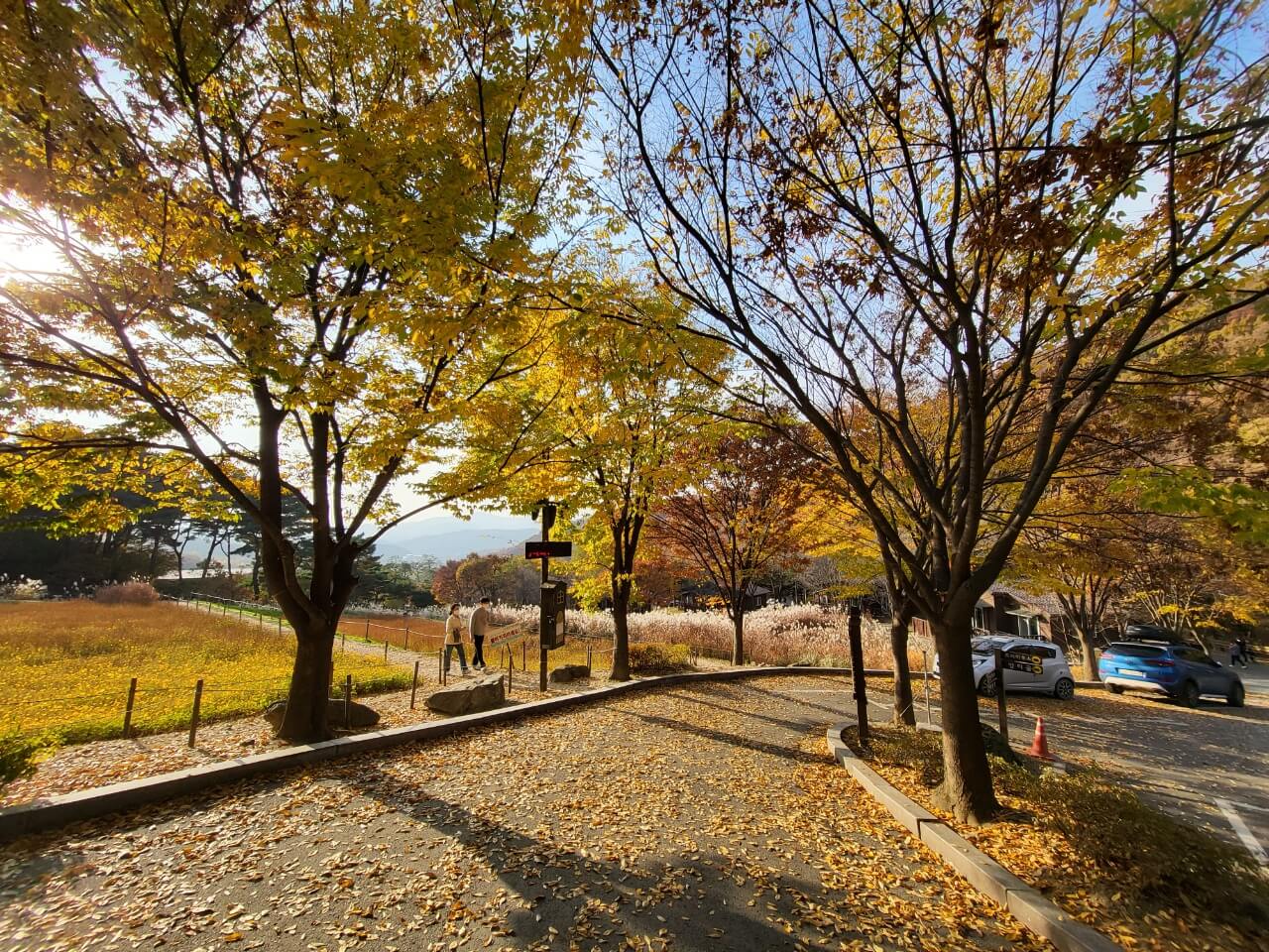 용인자연휴양림 풍경