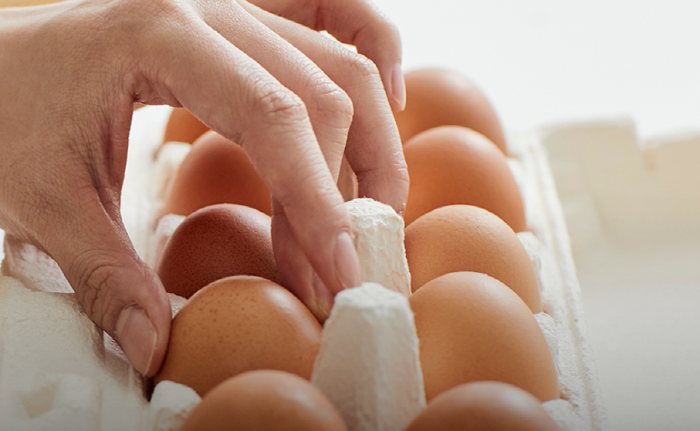 살모넬라균 예방, 계란 보관법
