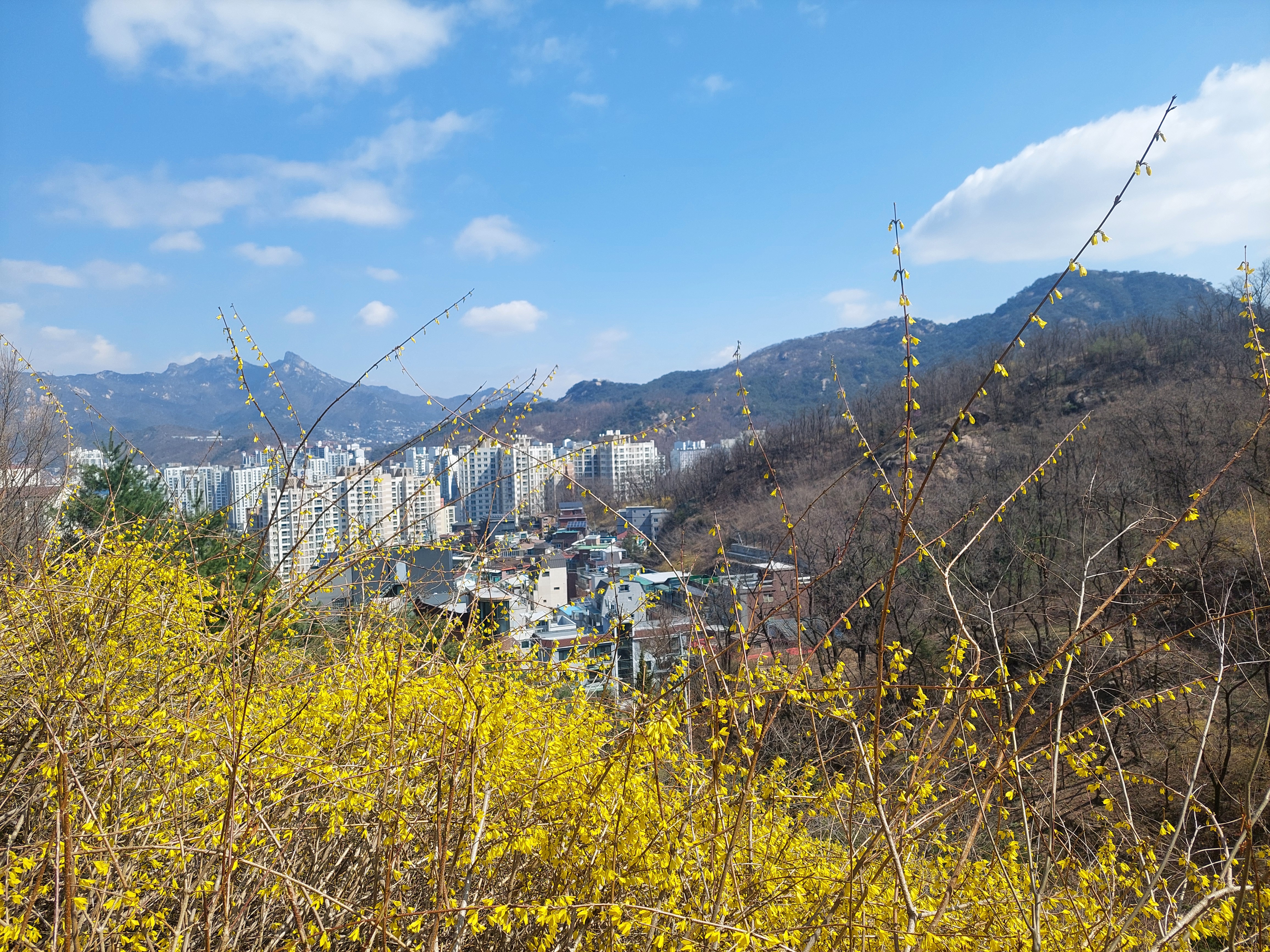 안산