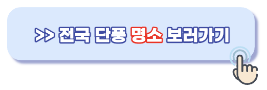 전국 단풍 명소