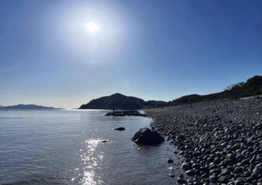 완도 숙박 신지면 명사십리 독채펜션 추천