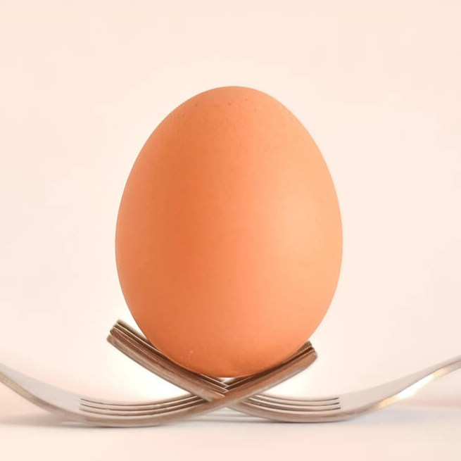 계란껍질 난각질