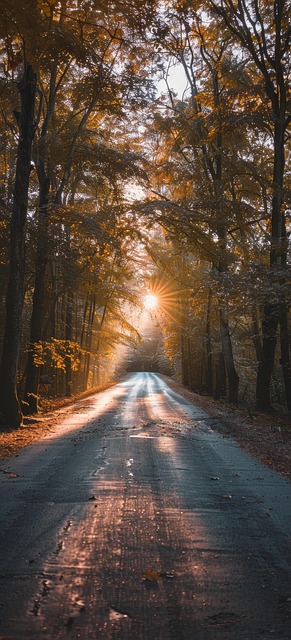 모르는전화번호확인스팸번호조회