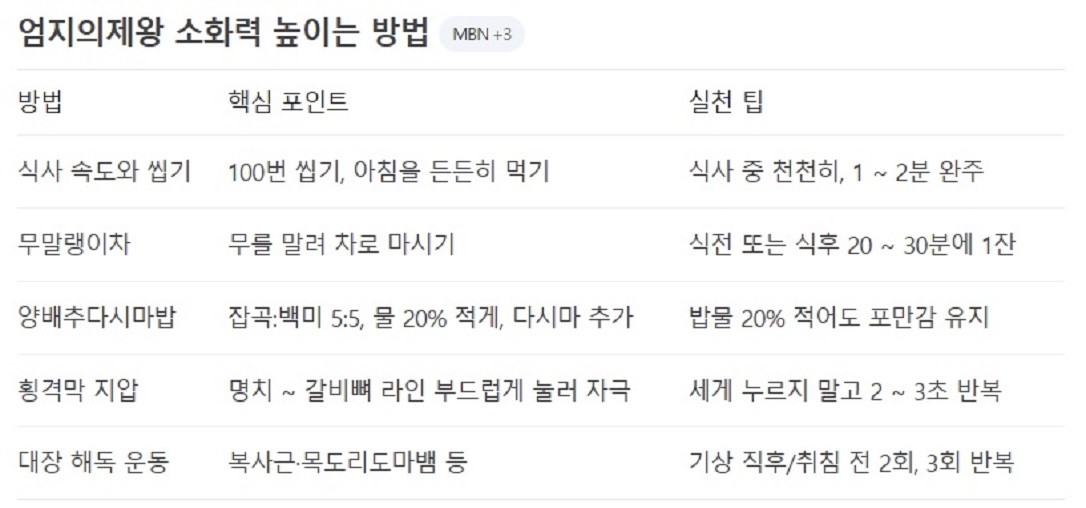캡슐레이션-효소-소화력의-비밀-