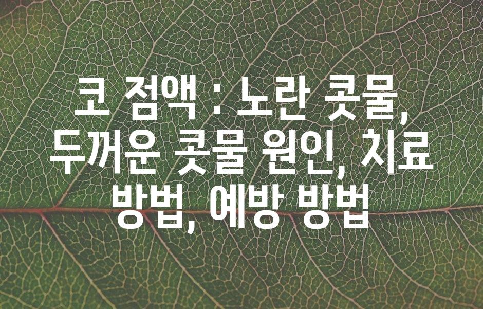 샘플 (43)