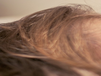 표고버섯 효능 사진19