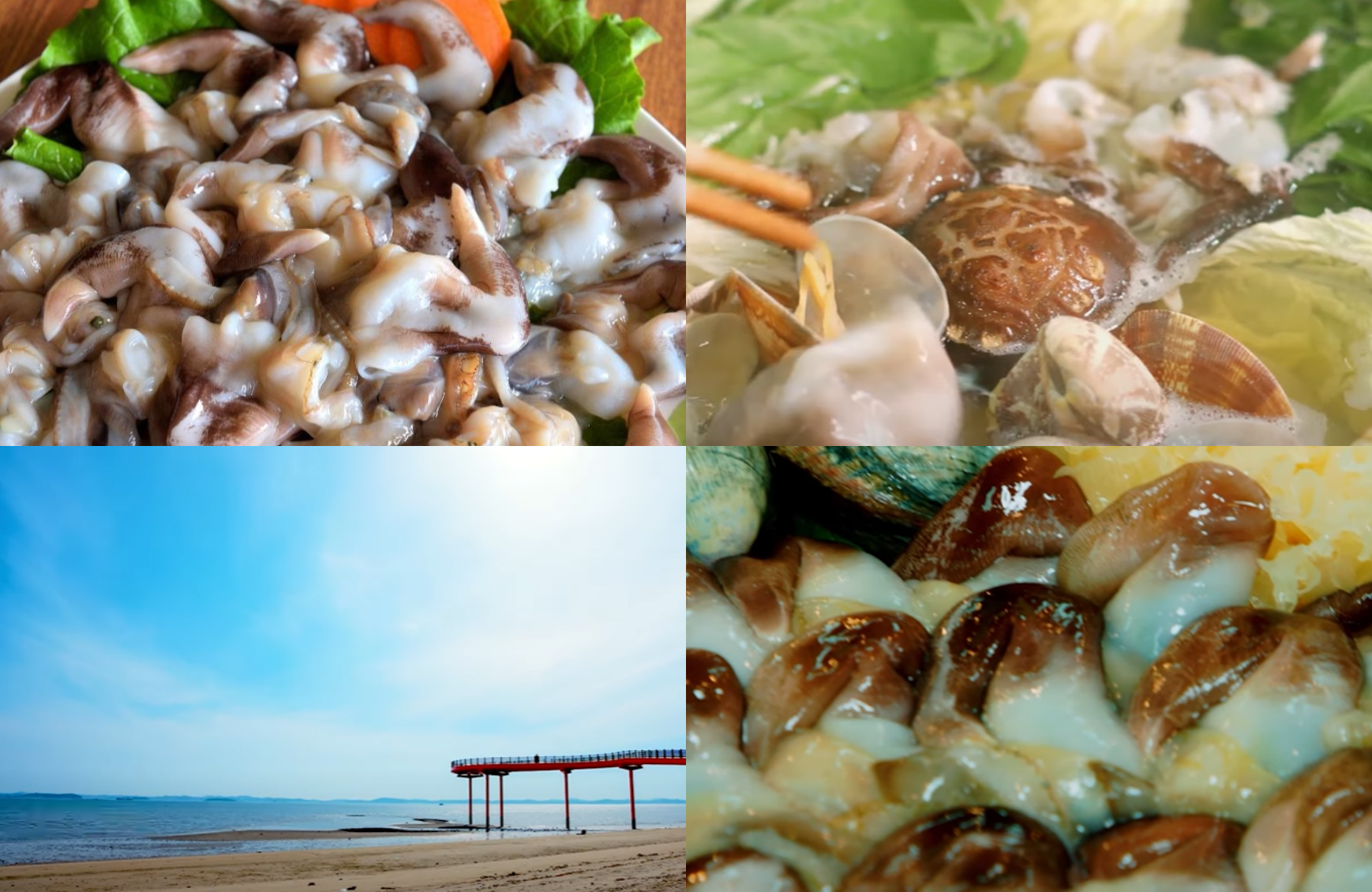 남당항 새조개축제