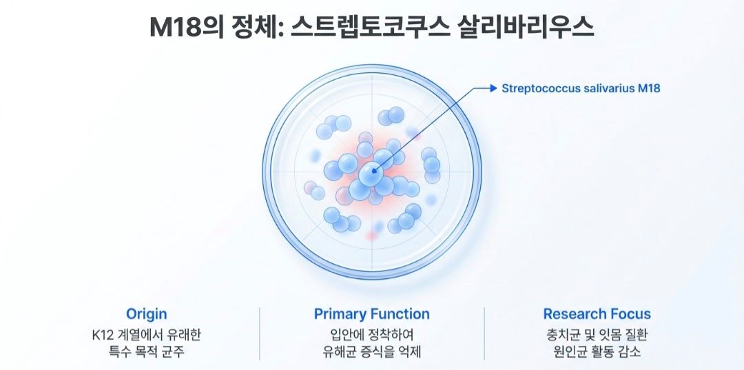 구강유산균-사진1