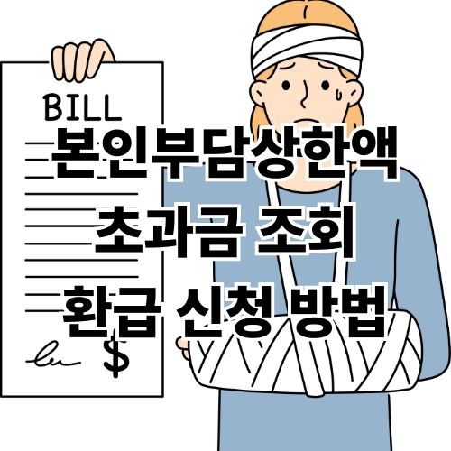 본인부담상한액 초과금 조회 및 환급 신청 방법