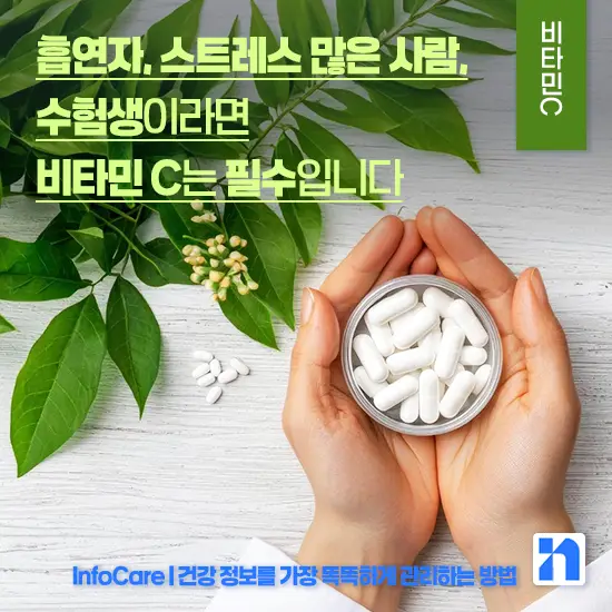 비타민 C 효능