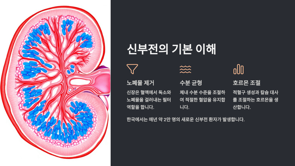 신부전의 기본 이해