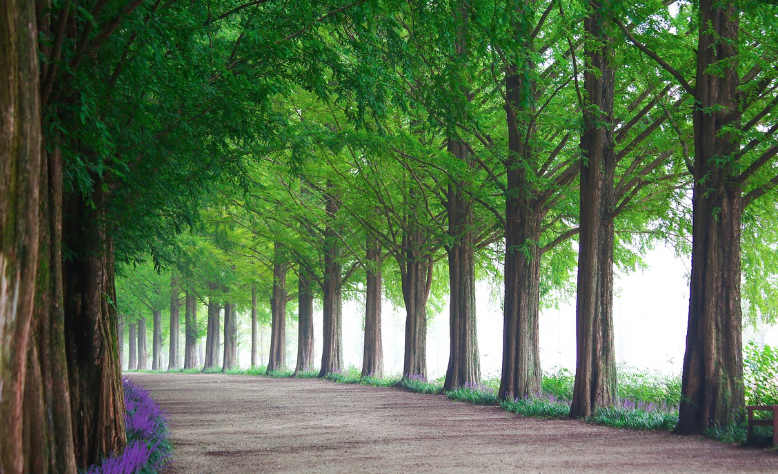 2024 숙박 세일 페스타 쿠폰 다운로드 방법 1분컷 받기