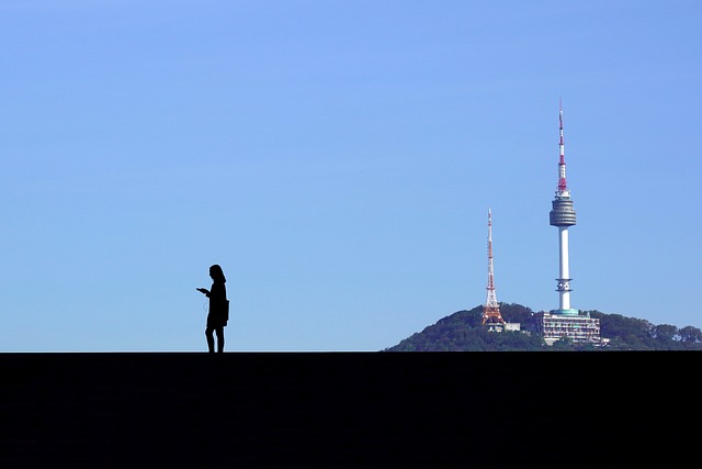 남산타워와 사람 한명