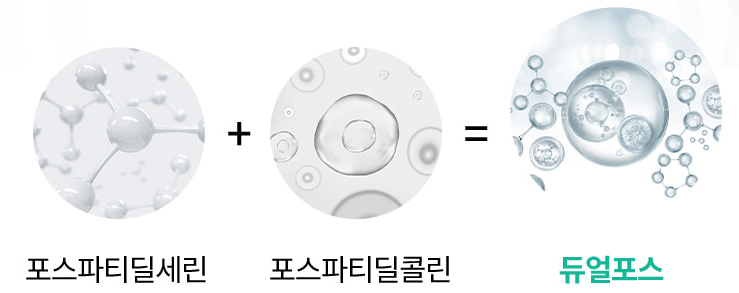 슈타인 알파