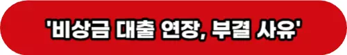 비상금대출-연장