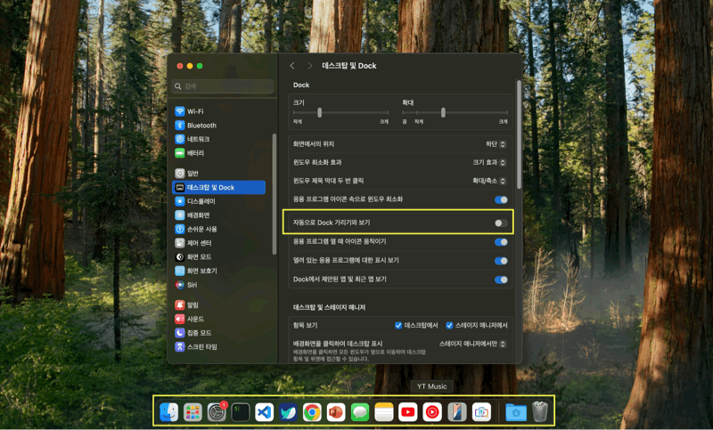 자동으로 Dock 가리기와 보기