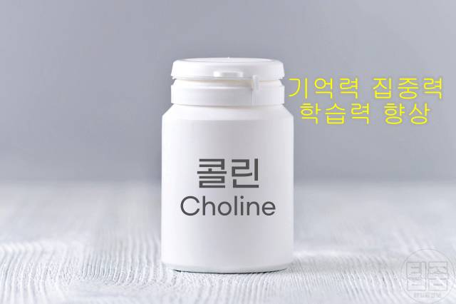 뇌에 좋은 영양제 콜린