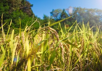 농업e지 농림축산식품부