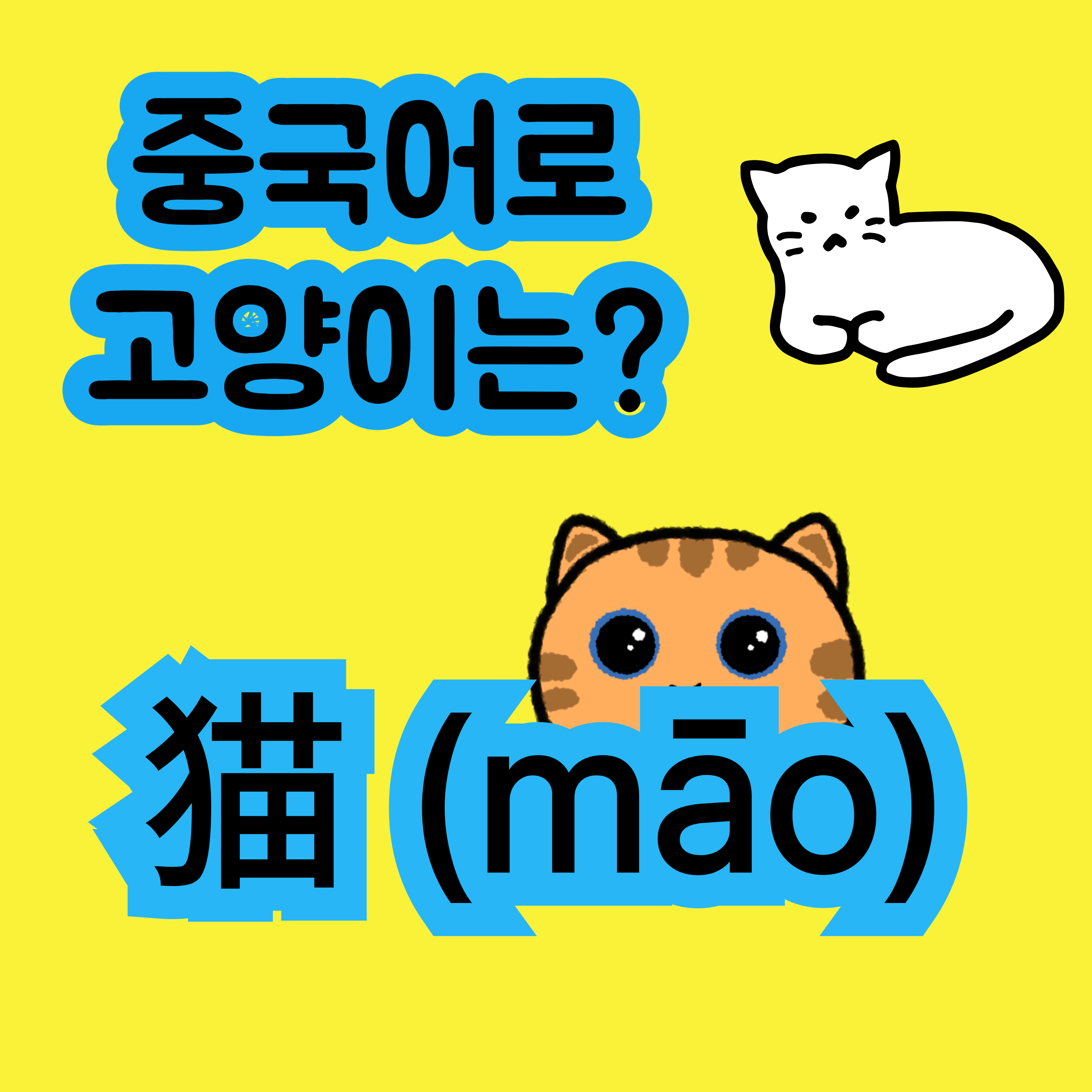중국어로 고양이 猫