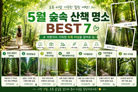 초여름 숲속 산책 명소 BEST 7, 초록 터널 걷기 좋은 힐링 여행지