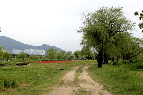 삼락공원생태5