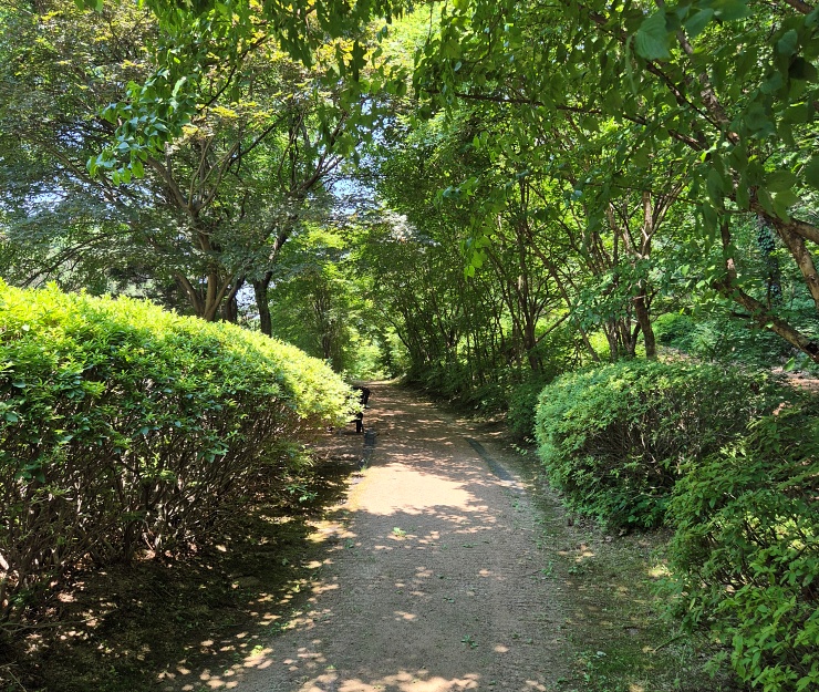 계곡 카페 달리온 숲길 산책로