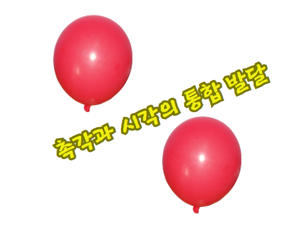 촉각과 시각의 통합 발달