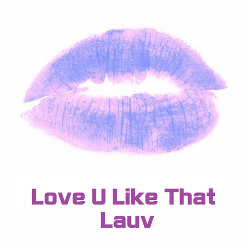 Love U Like That Lauv 라우브 가사 해석 번역 뮤비 곡정보