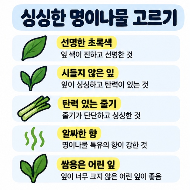 제철 명이나물은 선명한 초록색, 탄력 있는 줄기, 마르지 않은 잎, 알싸한 향을 확인해 고르는 방법을 정리한 카드