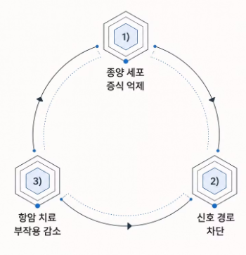 프로폴리스 효능