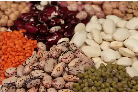 철분이 많은 음식 Best 10