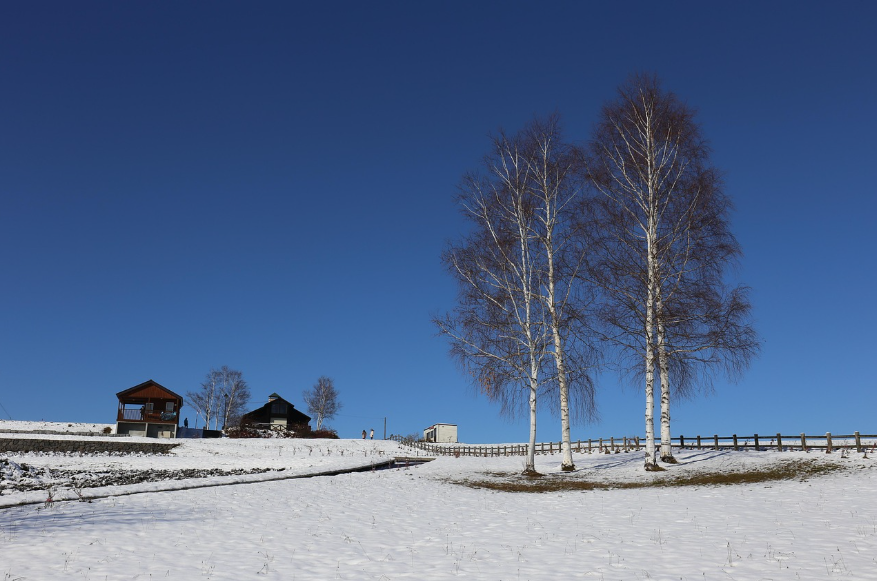 훗카이도 눈 덮힌 풍경 사진