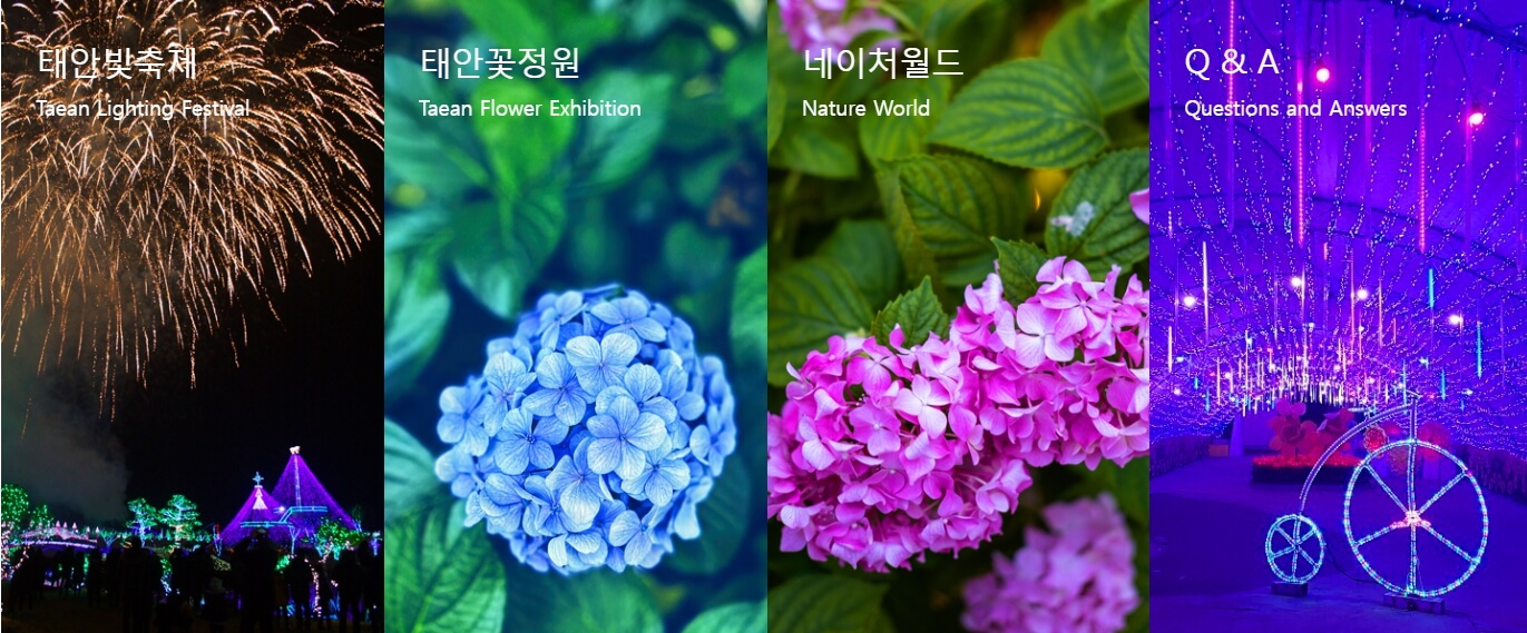 태안 빛축제