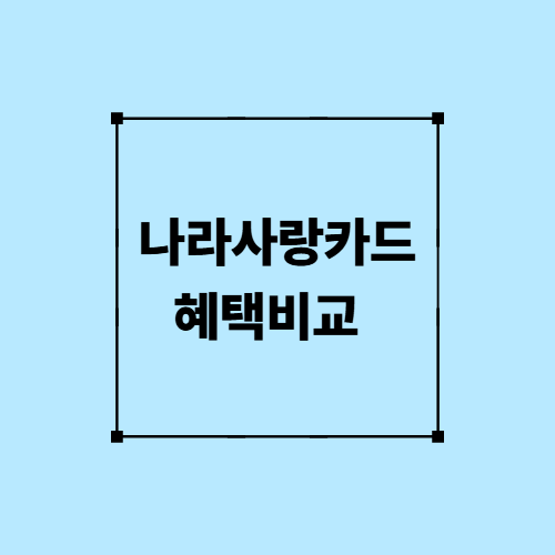 나라사랑카드 혜택비교