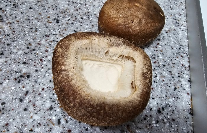 손질되기-전-표고버섯