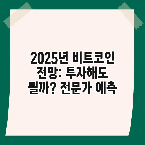 2025년 비트코인 전망: 투자해도 될까? 전문가 예측