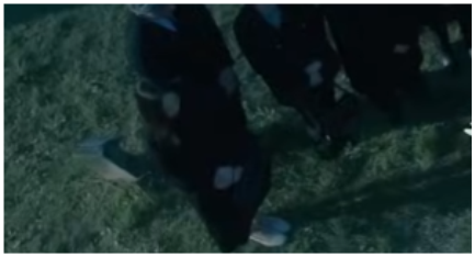 넷플릭스-로기완-출연진-정보-절대보면-안-되는-이유